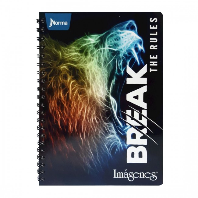 Cuaderno Argollado Imágenes 105 Grande Rayado Masculino Norma – Pasta Dura