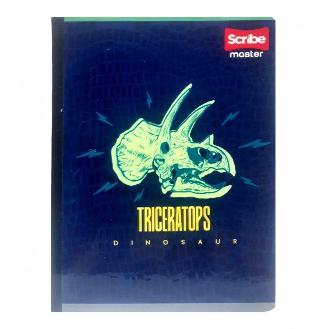 Cuaderno cosido master m+s niño 100 cuadros