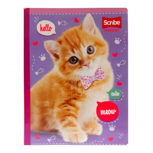 Cuaderno Cosido Master Doble Línea Niña Scribe 100 Hojas – Ferrocarril + Stickers