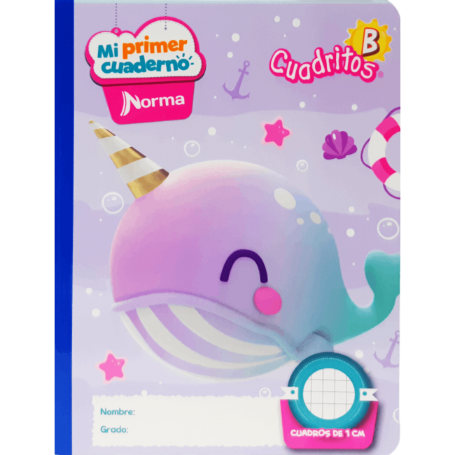Cuaderno B Cuadritos Niña Norma 100 Hojas – Ideal Preescolar Diseños Femeninos