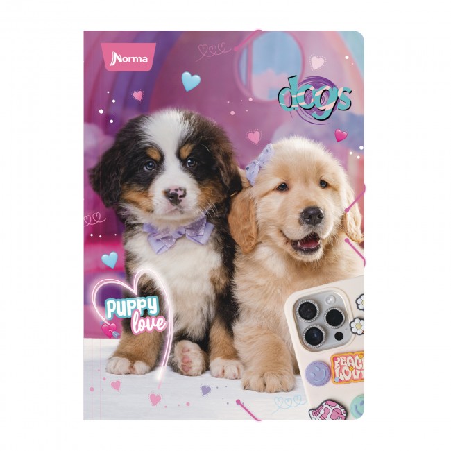 Carpeta escolar plástica NORMA