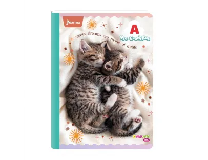 copy of NORMA Notebook, Grid B, 100 sheets, Bebes llorones