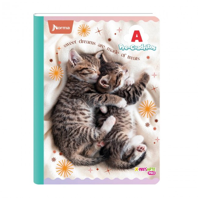 Cuaderno Pre-Cuadritos A Cats Norma 100 Hojas – Ideal Preescolar Gatos
