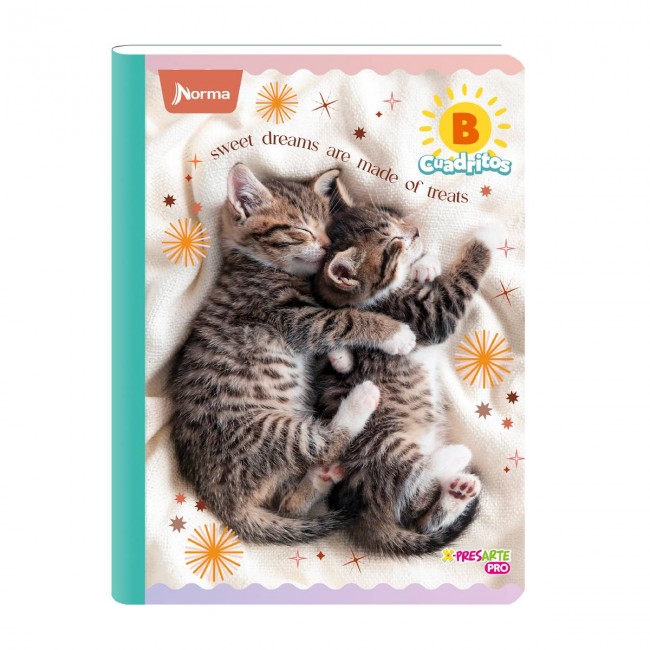 Cuaderno B Cuadritos Cats Norma 100 Hojas – Ideal Preescolar Gatos