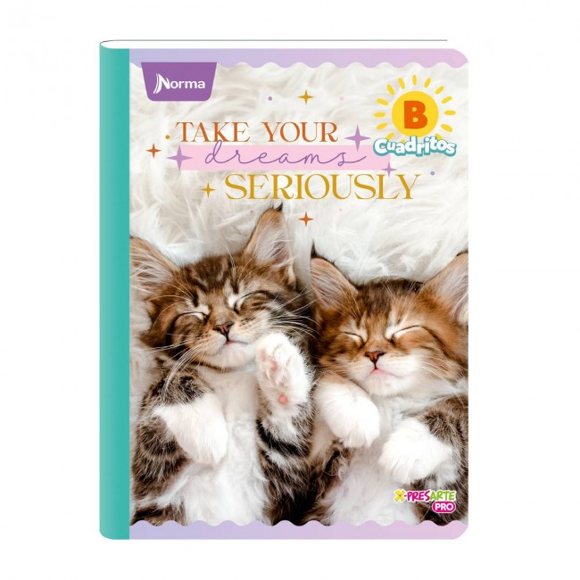 Cuaderno B Cuadritos Cats Norma 100 Hojas – Ideal Preescolar Gatos