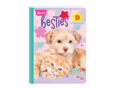 Cuaderno D Ferrocarril Cats NORMA