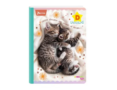 NORMA Notebook, double lined D, 100 cats