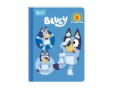 NORMA Notebook, Grid B, 100 sheets,  Bluey