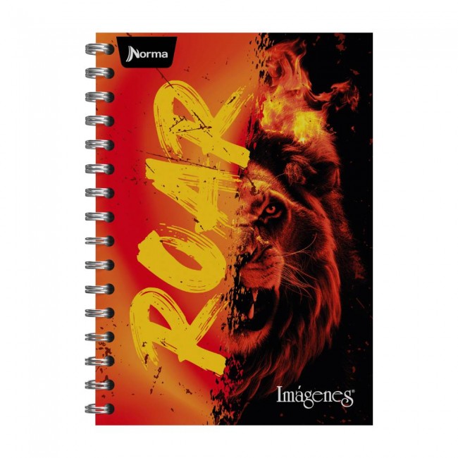 Cuaderno Argollado Imágenes 85 Pequeño Cuadriculado Masculino Norma – Pasta Dura