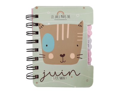 Mini libreta argollada 3 pestañas