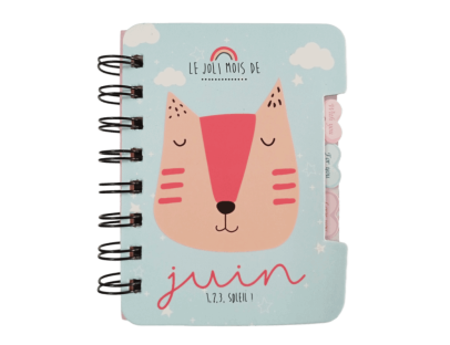 Mini libreta argollada 3 pestañas