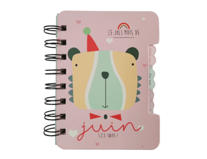 Mini libreta argollada 3 pestañas