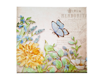 Set de cajas de regalo cuadradas con diseño teddy o mariposa – elegancia y dulzura en cada detalle