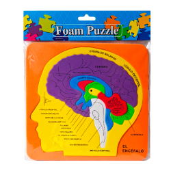Didáctico Encéfalo Foamy – Juego Educativo Partes del Cerebro Humano